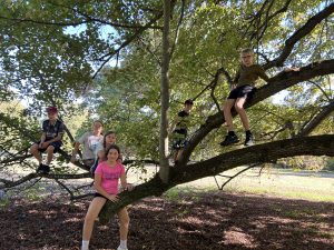 IMG_3193-scaled.jpg