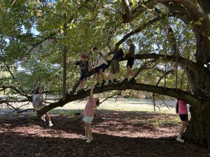 IMG_3201-scaled.jpg