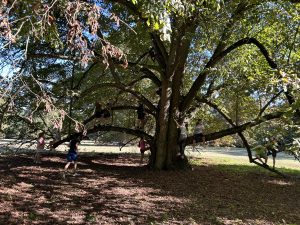 IMG_3203-scaled.jpg