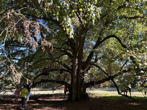 IMG_3204-scaled.jpg