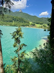 IMG_5582-scaled.jpeg